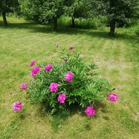 Bojana 2* Troyan (Lovech)